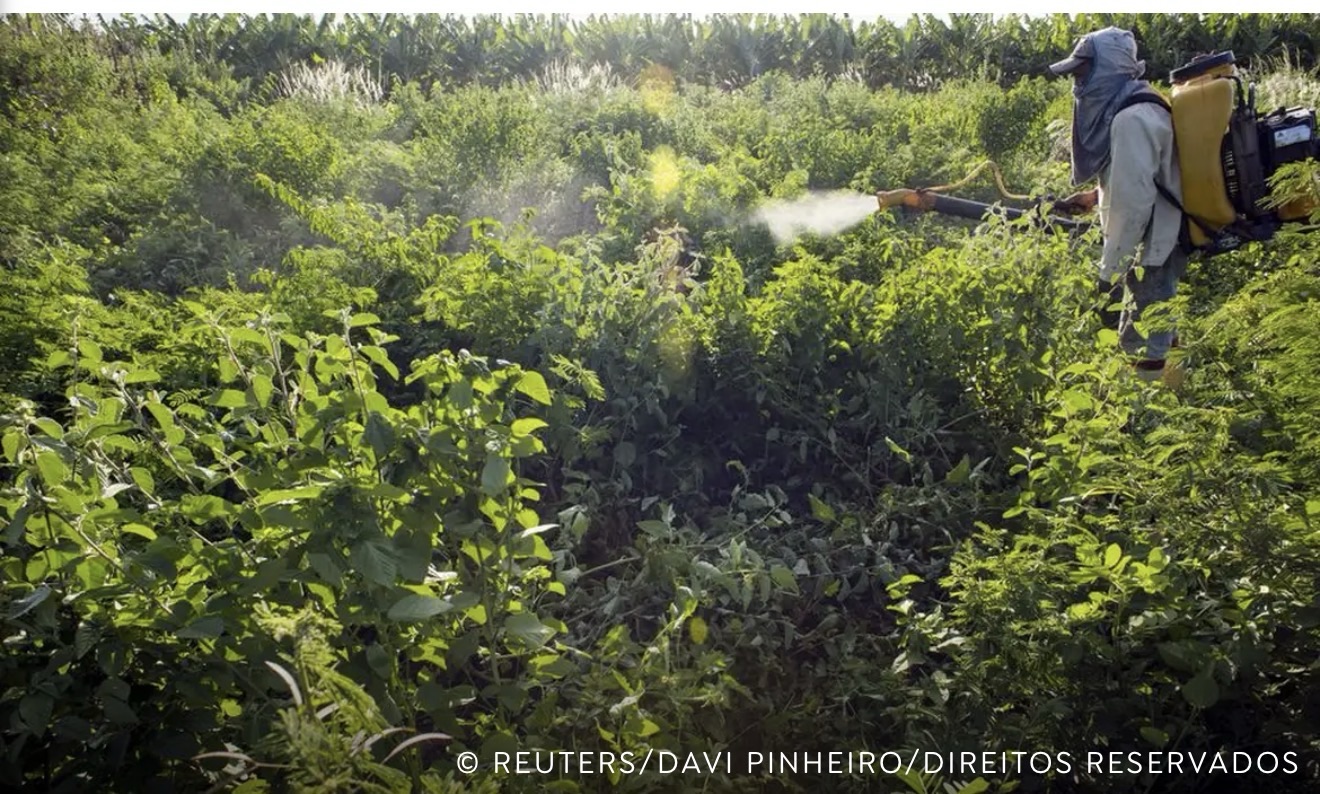 AGROTÓXICOS ATINGEM JÁ POPULAÇÃO EM VULNERABILIDADE, DIZ ESPECIALISTA