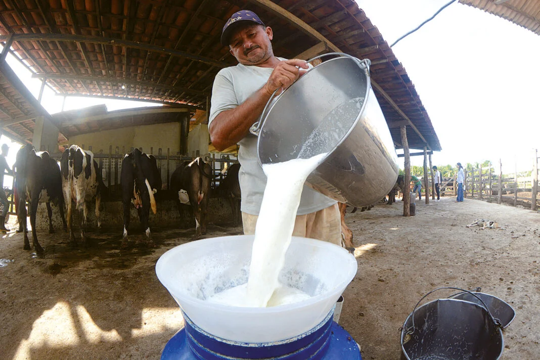 VALOR DA PRODUÇÃO DE LEITE SALTA 82% EM QUATRO ANOS NO RN