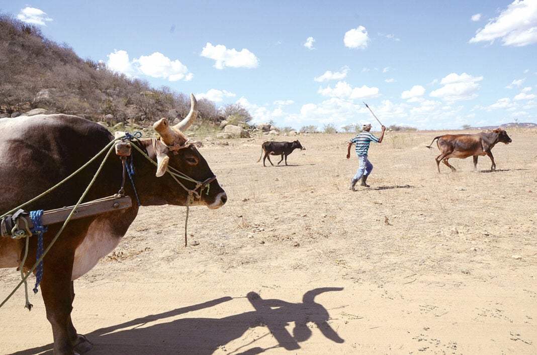 SECA: RN É O ESTADO DO NORDESTE COM MAIS CIDADES EM EMERGÊNCIA