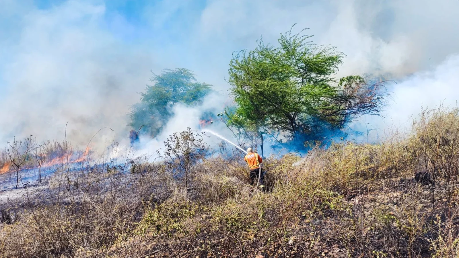 CBMRN ATENDE 13 INCÊNDIOS EM VEGETAÇÃO EM NATAL E REGIÃO