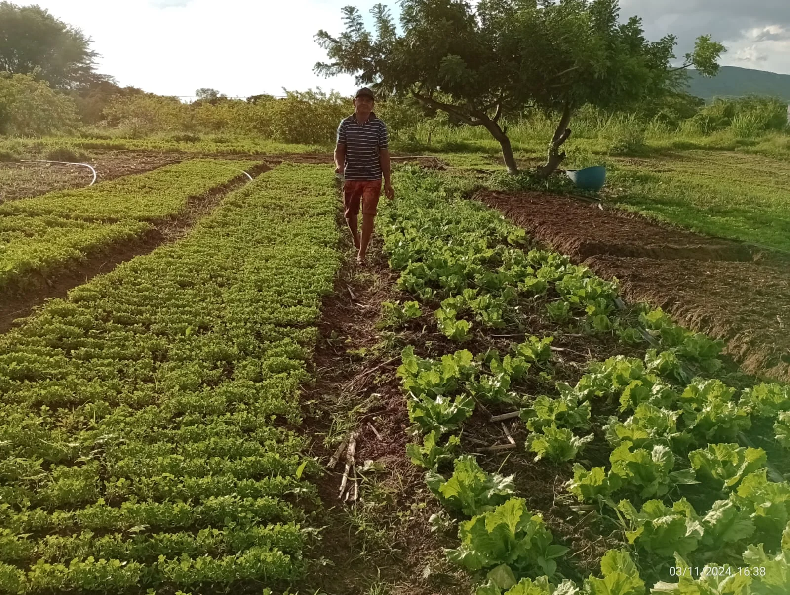 GOVERNO INICIA DISTRIBUIÇÃO DO BANCO DE SEMENTES, 68 MIL PRODUTORES DO RN SERÃO BENEFICIADOS