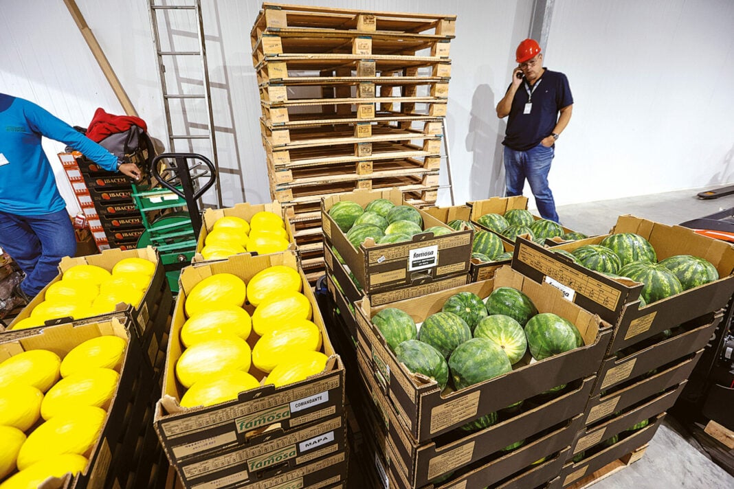 EXPORTAÇÕES DO RN CAEM 30% E SUPERÁVIT REDUZ NO INÍCIO DE 2026