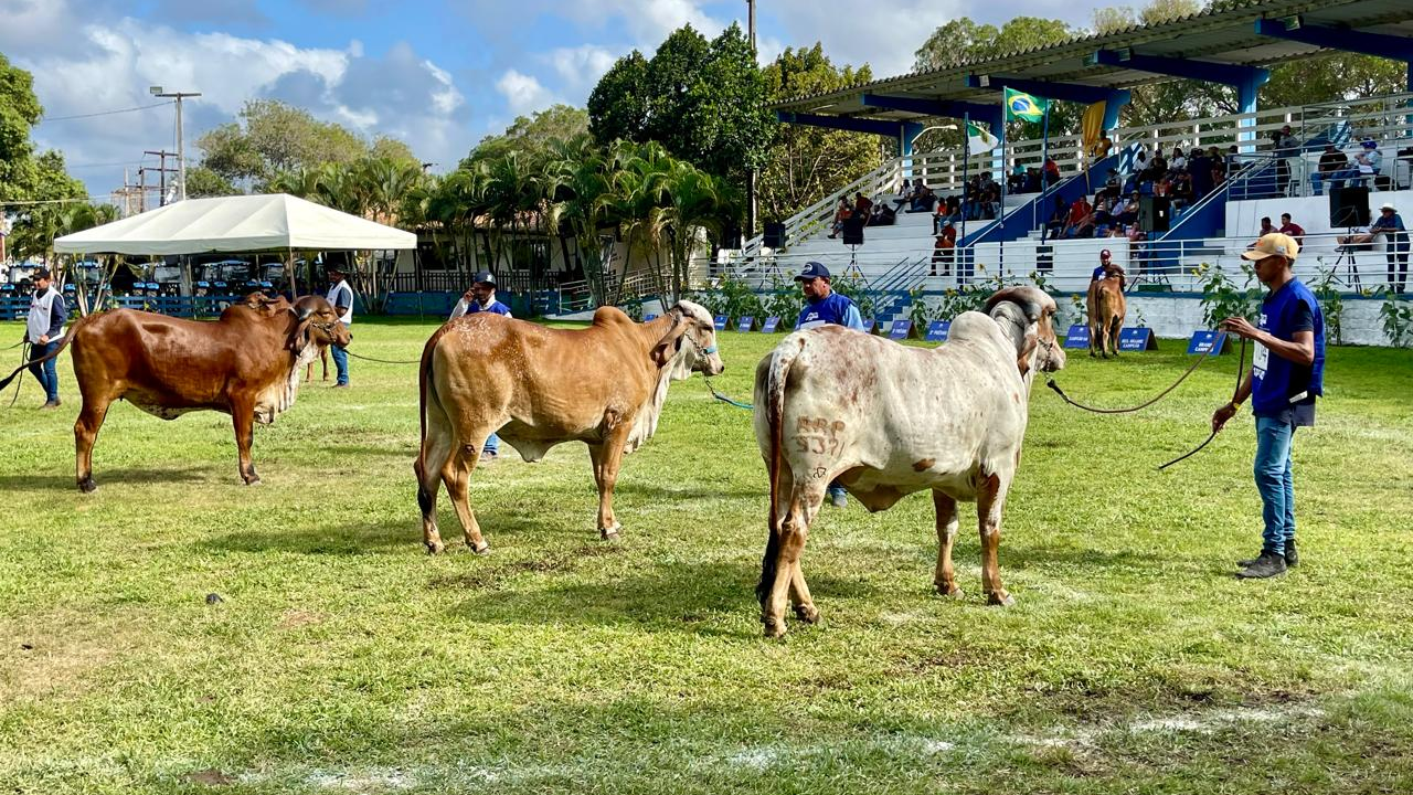 RN TERÁ 51 EVENTOS DE AGROPECUÁRIA EM 2026, O QUE MOSTRA EXPANSÃO DO CALENDÁRIO DO SETOR PRODUTIVO