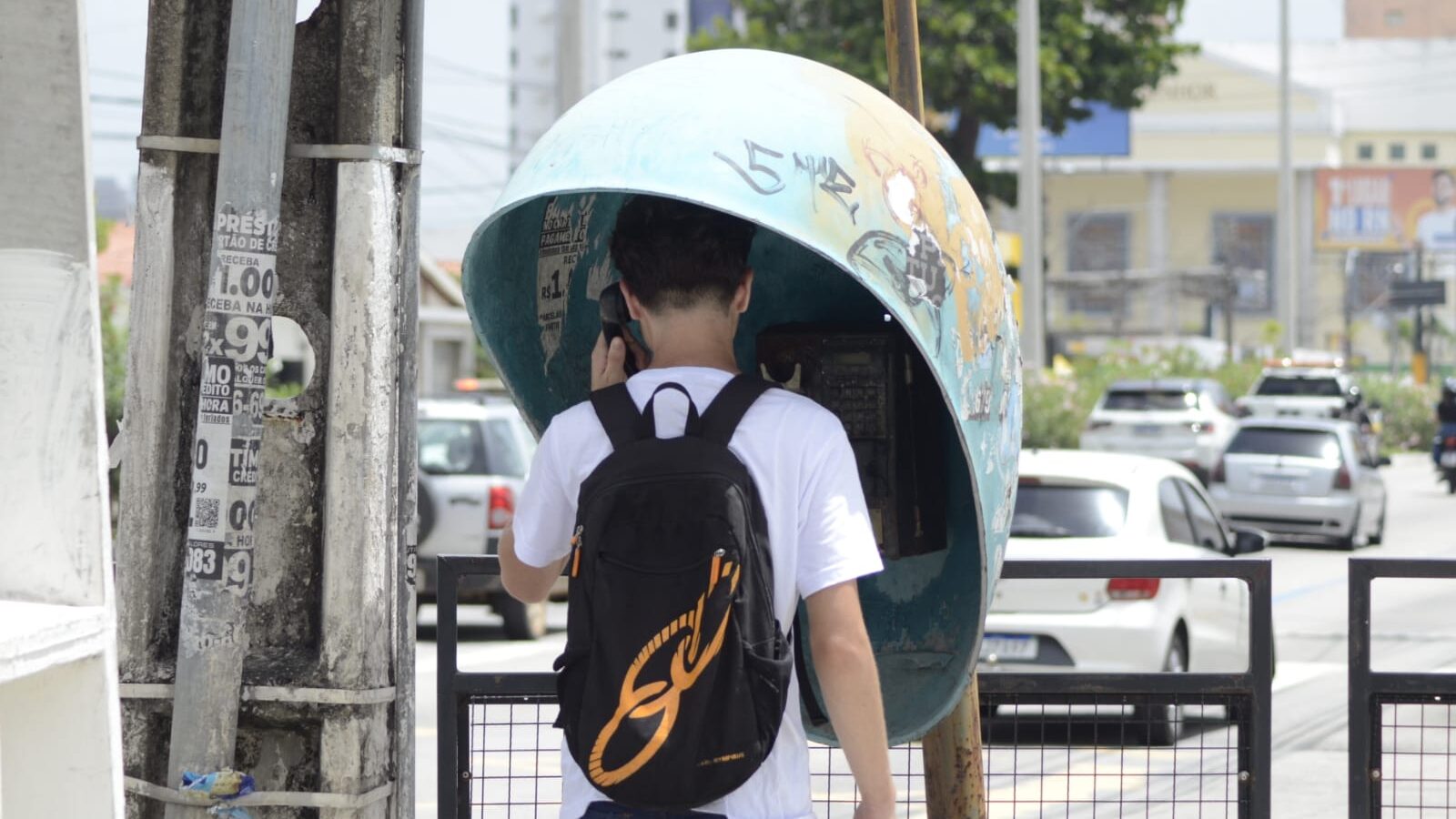 RN AINDA TEM 134 ORELHÕES ATIVOS; MAIORIA DEVE SER RETIRADA ATÉ 2028