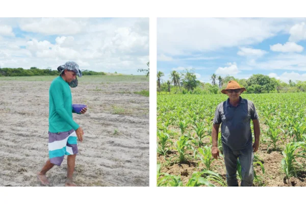 ENTRE FÉ E TRADIÇÃO, DIA DE SÃO JOSÉ ALIMENTA ESPERANÇA DE BOM INVERNO