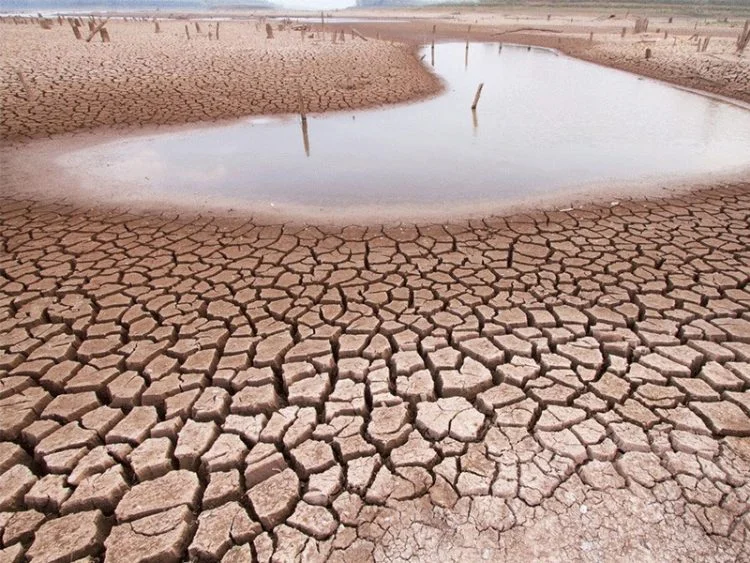 GOVERNO DO ESTADO DECRETA SITUAÇÃO DE EMERGÊNCIA POR SECA EM 166 MUNICÍPIOS DO RN