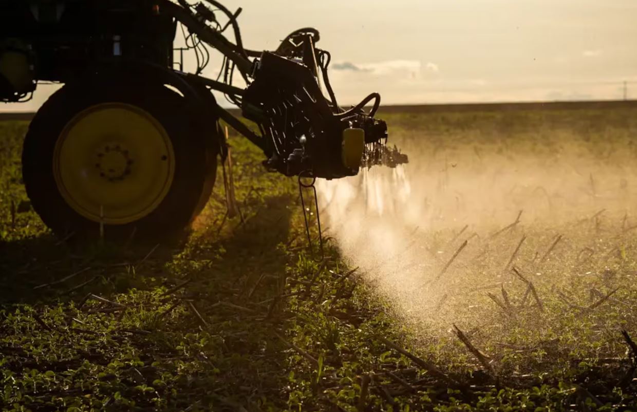 GUERRA NO ORIENTE MÉDIO AMEAÇA FERTILIZANTES E PODE ALAVANCAR PREÇO DE FEILÃO, ARROZ E OVO