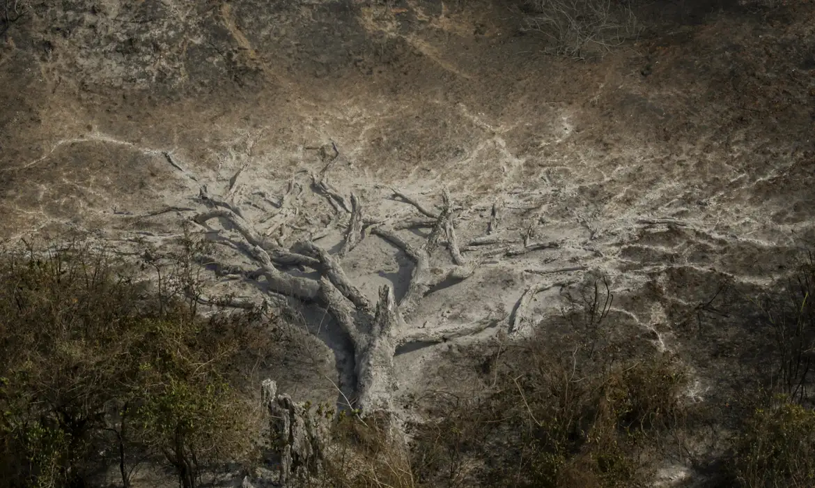 MUDANÇAS CLIMÁTICAS  JÁ AFETAM 85% DOS BRASILEIROS, DIZ PESQUISA
