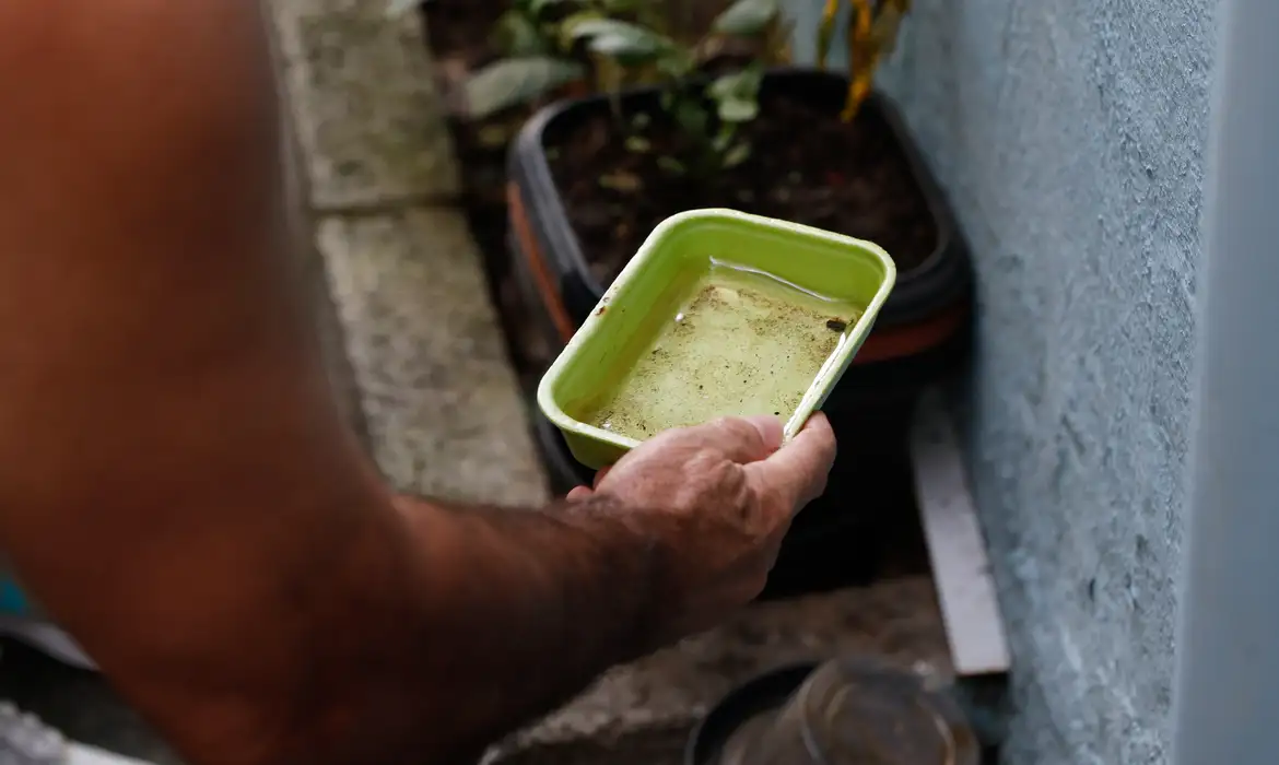 EI NIÑO PODE AUMENTAR CASOS DE CHIKUNGUNYA E DENGUE NO BRASIL