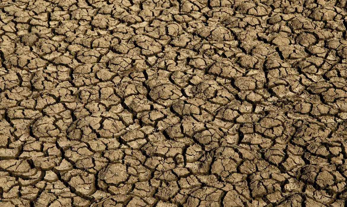 DESERTIFICAÇÃO NO BRASIL AMEAÇA SEGURANÇA HÍDRICA E ALIMENTAR