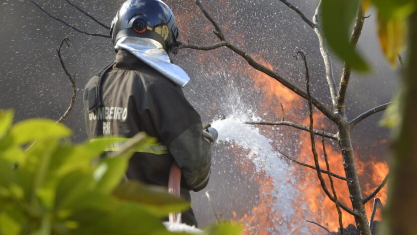 INCÊNDIOS EM VEGETAÇÃO CRESCEM 2,5% NO RN 2026