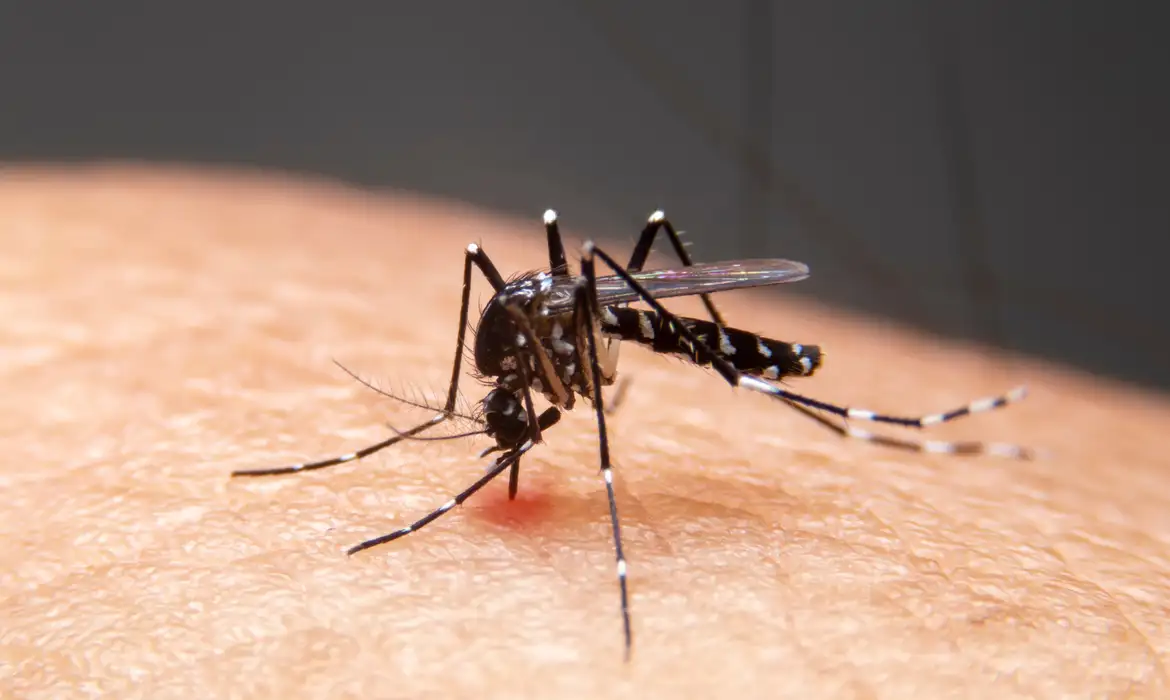 MUDANÇAS CLIMÁTICAS JÁ CAUSAM AUMENTO DE DOENÇAS INFECCIOSAS NO PAÍS