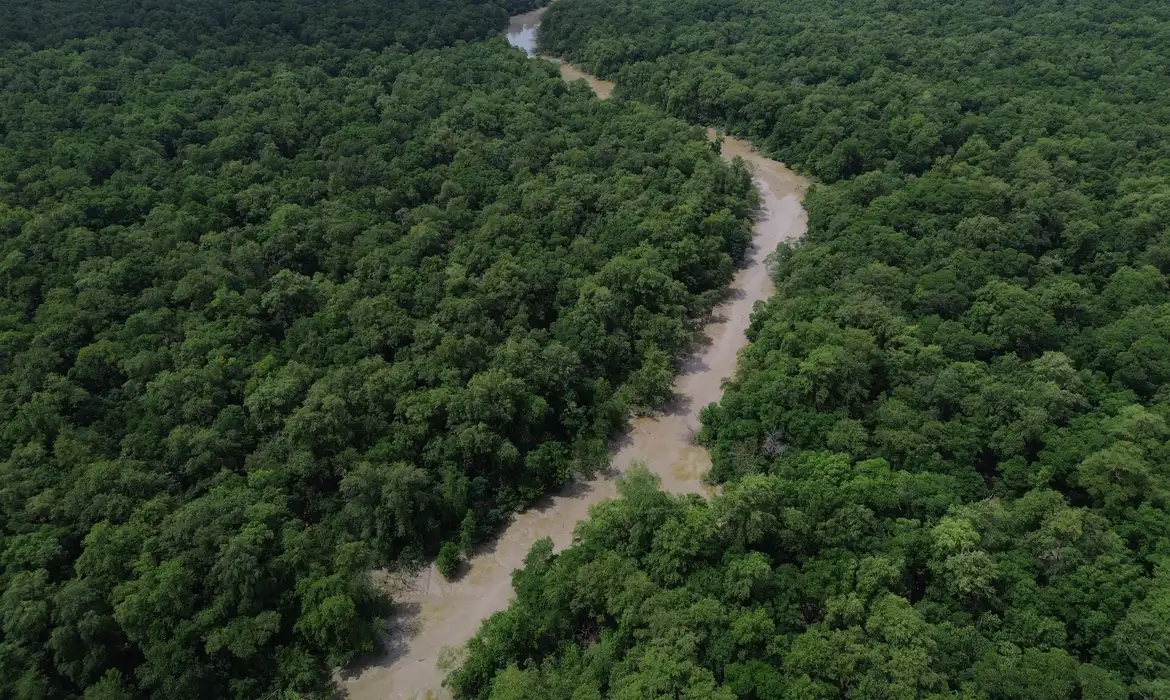 DESMATAMENTO CAI 41,8% NA AMAZÔNIA E 23,8% NO CERRADO EM UM ANO