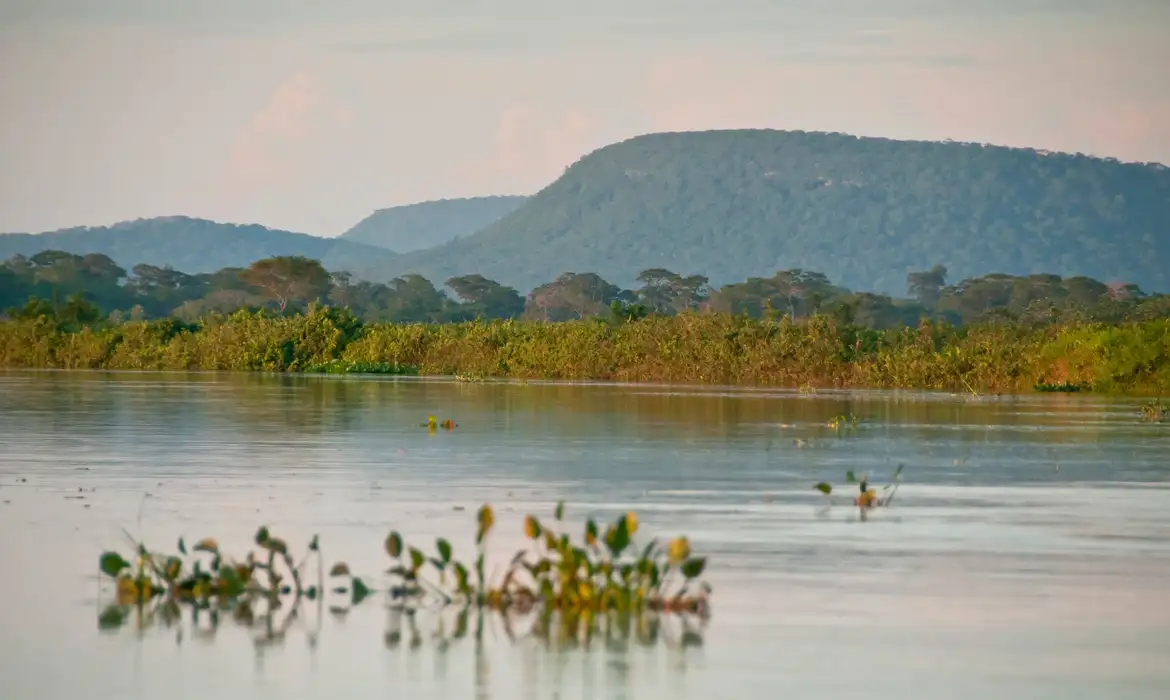 CERRADO BRASILEIRO PERDEU 13,9 MILHÕES DE HECTARES DE MARGENS DE RIOS